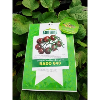 Gói 0,1g Cà Chua Cherry Đen Lai F1 Rado 643, SinH trưởng Vô Hạn, Trồng Quanh Năm, Quả 15_17g,Thu sau 75_80 ngày