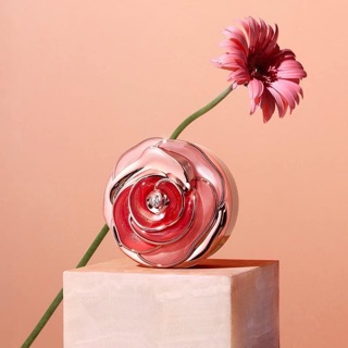 [3 lõi] Bộ phấn nước Ohui Ultimate Cover Cushion Moisture Coral Rose Edition Tháng 11-2019