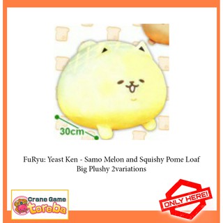 Gấu bông Toreba