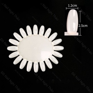 Móng mẫu tập vẽ vỉ tròn