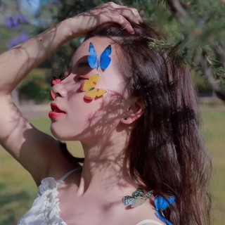 HOT Bộ Bướm 3D nhựa PVC chụp ảnh sống ảo, trang trí