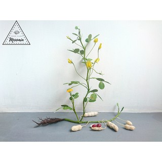 Cây lạc/ đậu phộng bằng giấy nhún