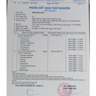 Nấm bào ngư