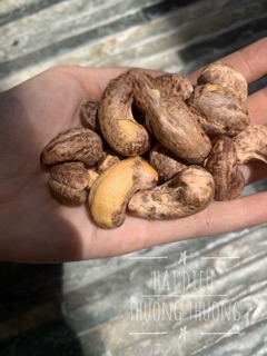 1kg Hạt Điều Vỏ Lụa rang muối loại to nhất