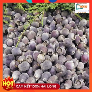 500g Quả Sim Rừng khô bổ máu, giải độc gan, tốt cho tiêu hóa, nâng cao hệ miễn dịch
