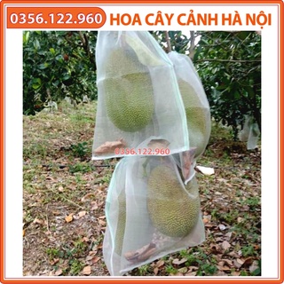 50 chiếc Túi bọc Mít, túi bao mít kích thước 45x60 cm - Shop hoa cây cảnh Hà Nội