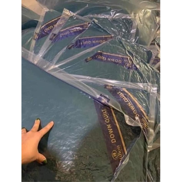 Ruột gối Hilton cao cấp hàng chuẩn 1,3kg thanh lý sập sàn