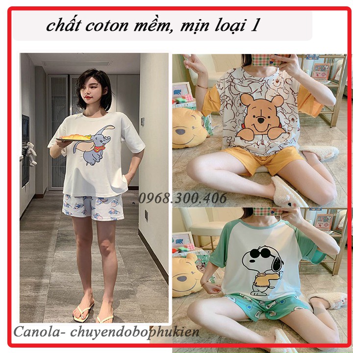 Bộ đồ mặc nhà, đồ ngủ ngắn tay chất COTTON ĐẸP  in họa tiết hoạt hình dễ thương cho nữ-BN1