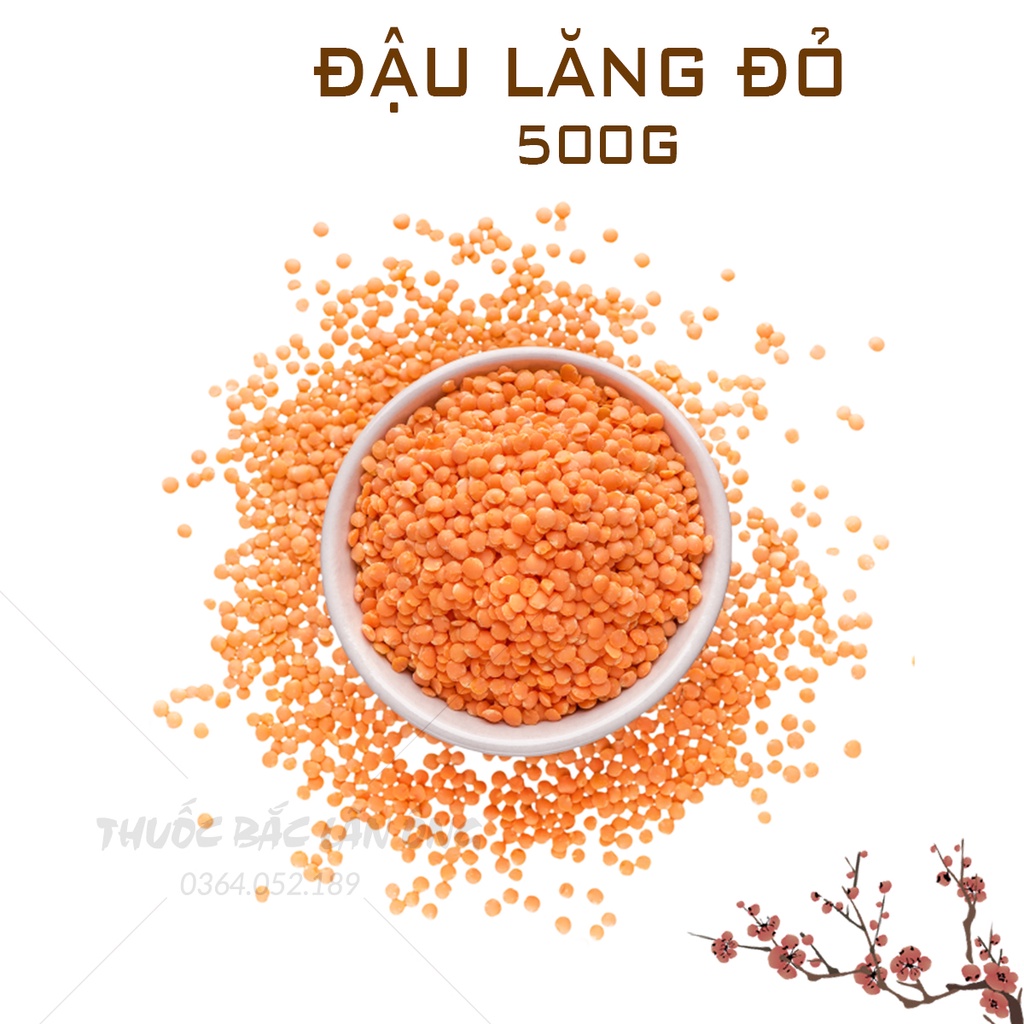 Đậu lăng xanh/đỏ 500g (Hạt dinh dưỡng, nấu soup, làm sữa hạt, tốt cho người ăn kiêng)