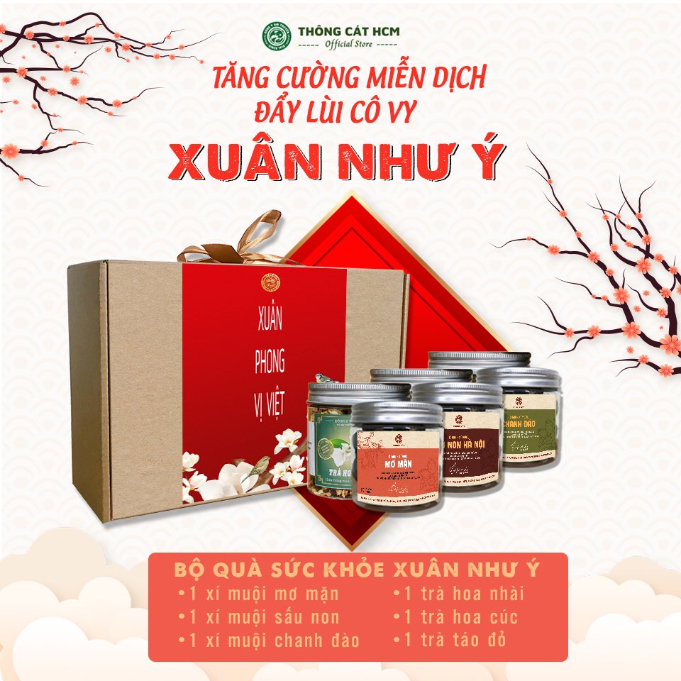 Set quà tặng Tết 2022 - Bộ quà Sức Khỏe Xuân Như Ý Thông Cát HCM, trà hoa thảo mộc, ô mai xí - Đẹp da, tăng sức đề kháng