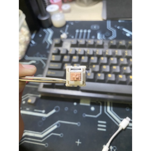 Bộ 5 MMD Panda switch | Tactile | HP-like