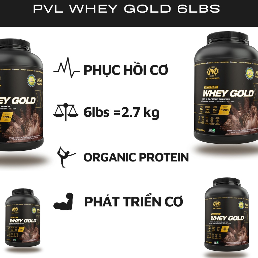 HỦ 6lbs - PVL 100% WHEY GOLD - Phát Triển Cơ Bắp - Bổ sung thêm Enzym tiêu hoá hấp thu tốt nhất