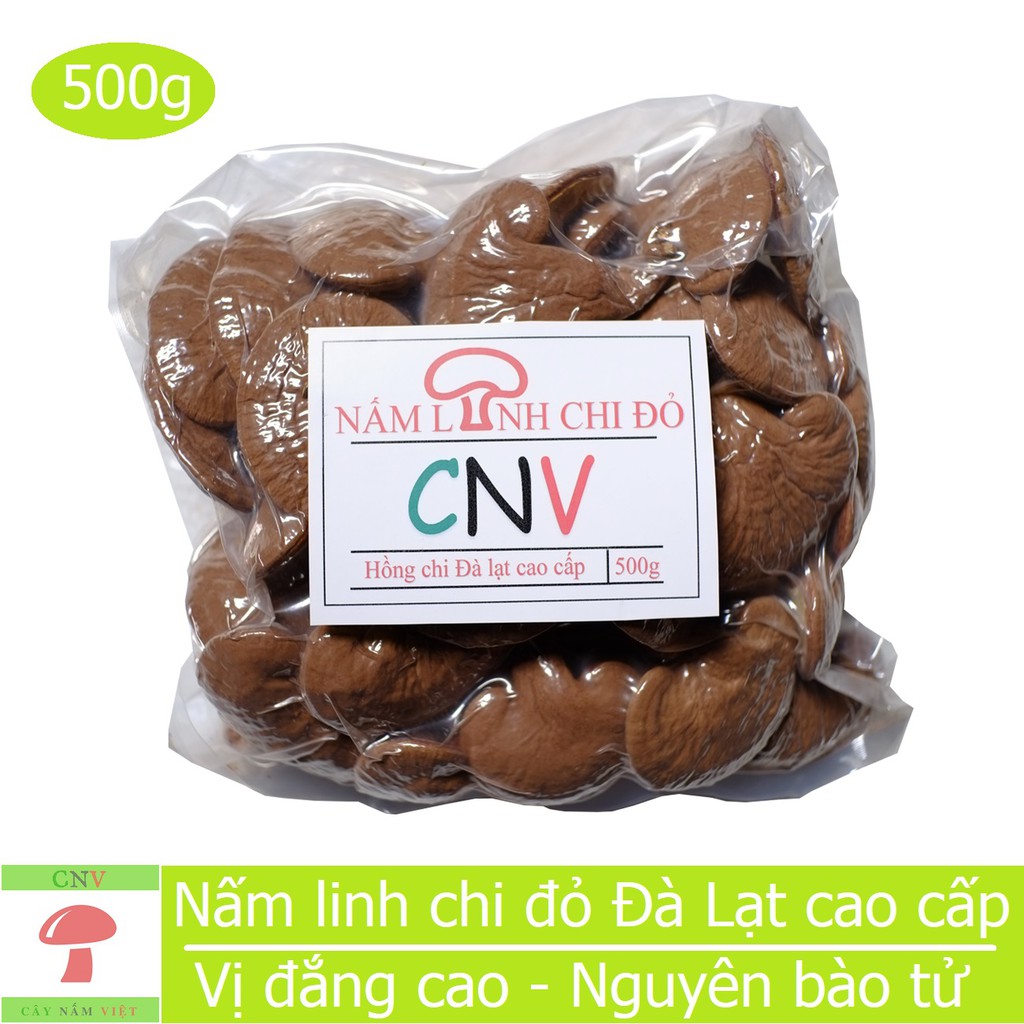 Nấm linh chi đỏ Việt Nam 500g (Nguyên bào tử) - Cây Nấm Việt | BigBuy360 - bigbuy360.vn