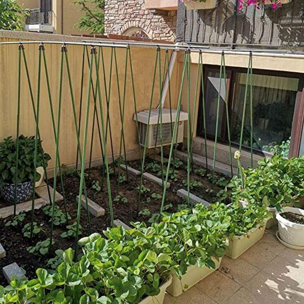 Bộ Giá Đỡ Hỗ Trợ Cây Leo Nhanh Chóng Tiện Lợi