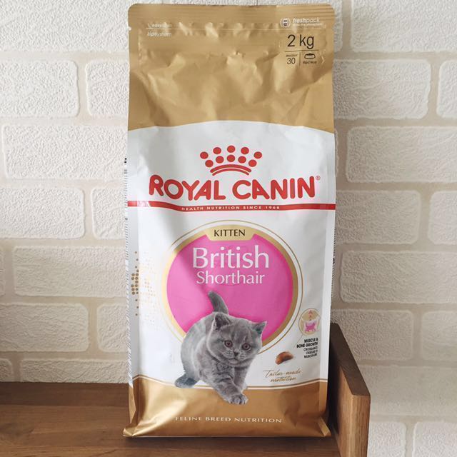 Thức ăn cho mèo con Royal Shorthair 2kg