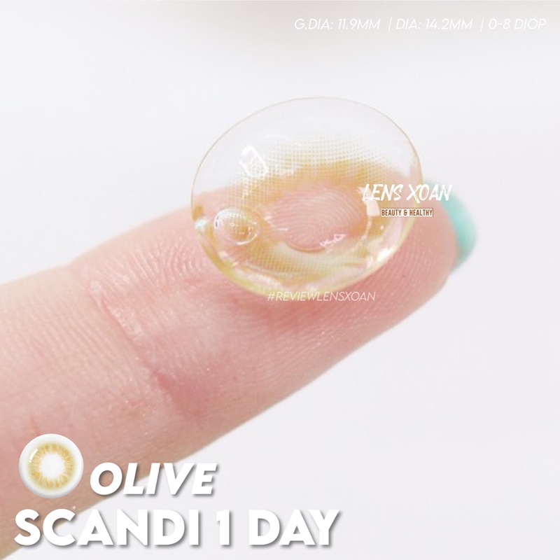 KÍNH ÁP TRÒNG 1 NGÀY SCANDI OLIVE CỦA OLENS: LENS XANH LÁ TRONG TỰ NHIÊN | LENS XOẮN