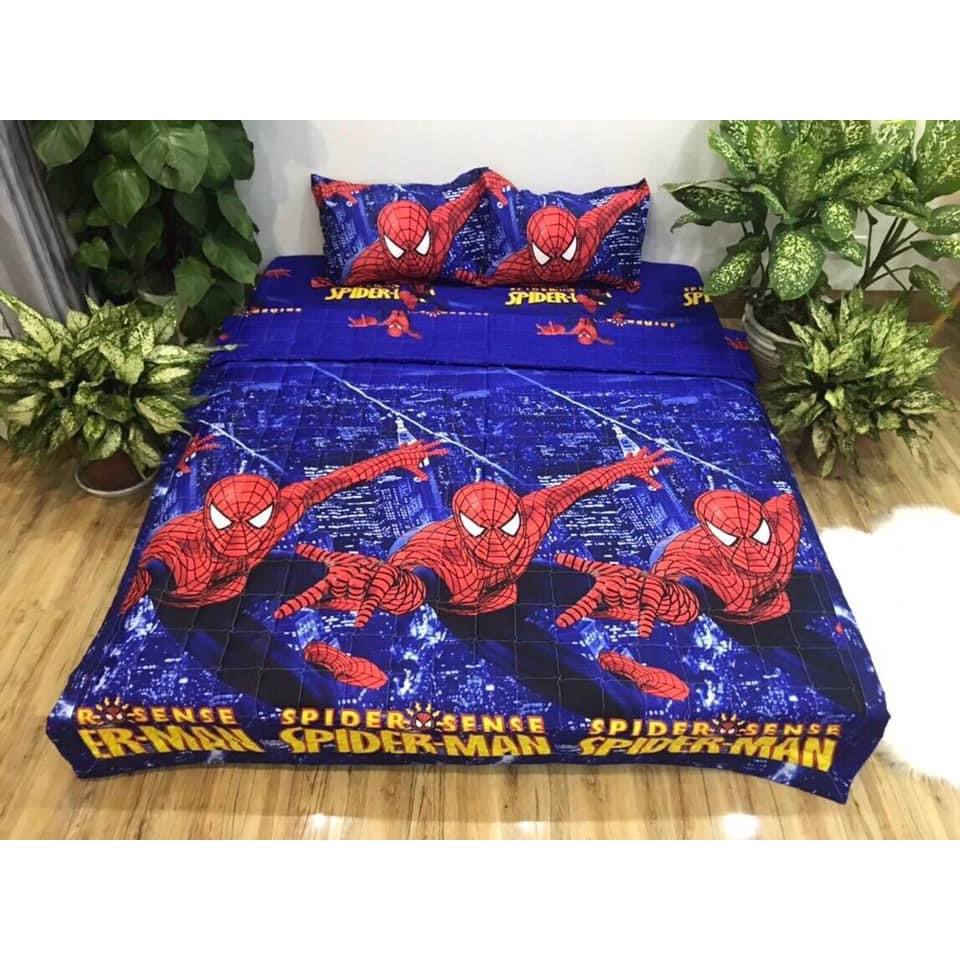 Ga trải giường poly cotton mẫu kẻ buberry