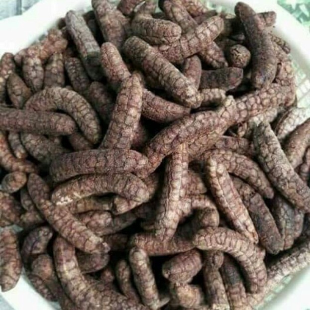 chuối hột rừng gia lai ngon đảm bảo | BigBuy360 - bigbuy360.vn