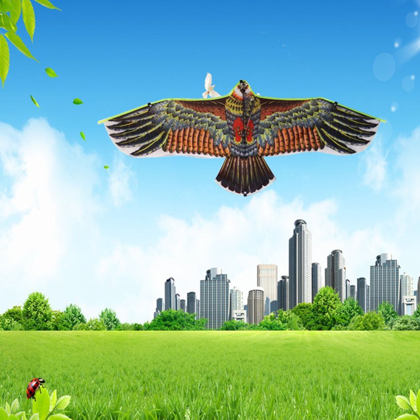 Diều thả hình chim đại bàng nhiều màu sắc cỡ 1.1m