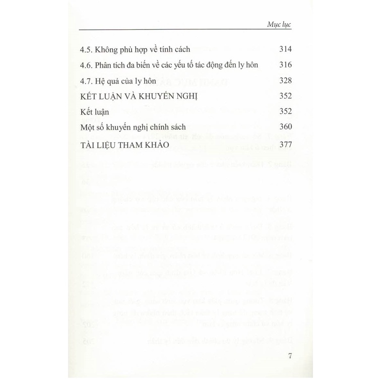 Sách - Vấn Đề Ly Hôn Trong Xã Hội Việt Nam Hiện Đại (Sách Chuyên Khảo)
