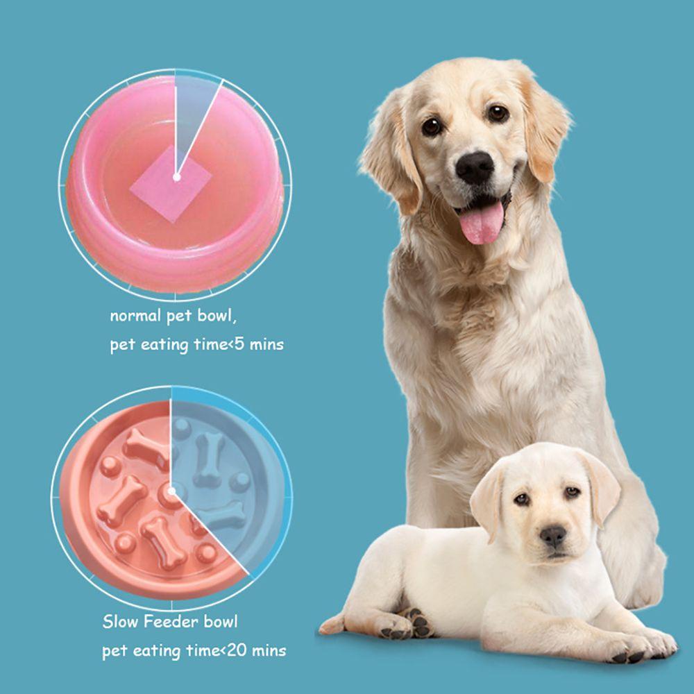 Đĩa Đựng Thức Ăn Cho Thú Cưng Hình Khúc Xương