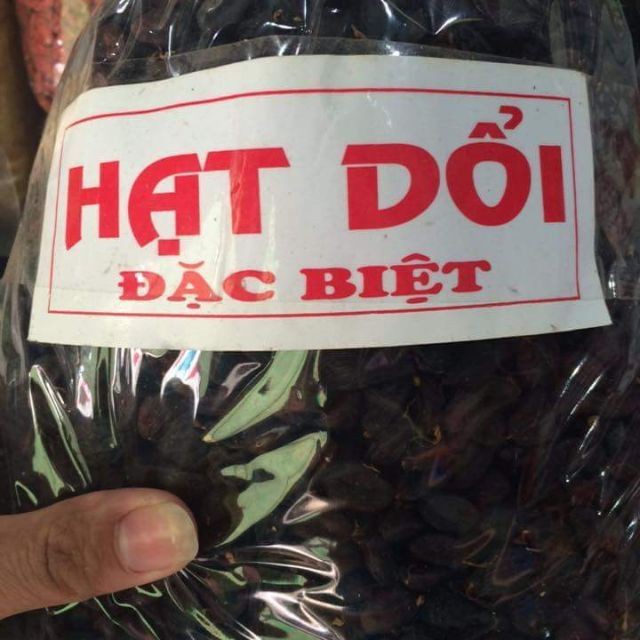 (100g) Hạt dổi nếp cây cổ thụ SIZE TO, hạt dổi Tây Bắc