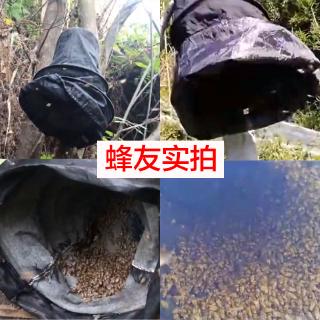 Túi Lưới Bắt Ong