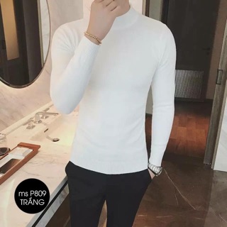 Áo len nam cổ lọ
