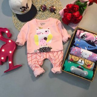 Combo bộ len tăm và quần