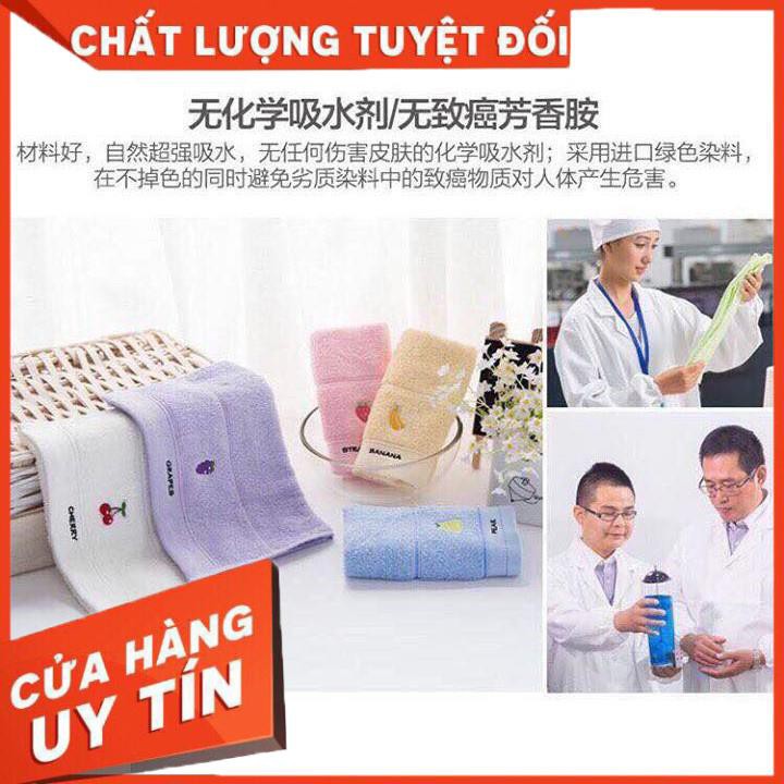 Set 5 khăn mặt hoa quả cotton