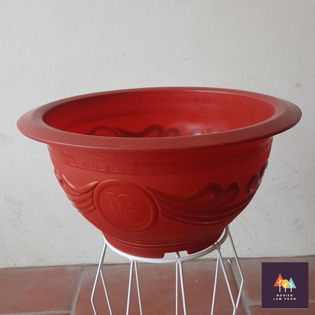 Combo 2 Chậu nhựa tròn đỏ dập hoa văn nổi màu mã CN10T58 loại không có lỗ thoát nước Size T58
