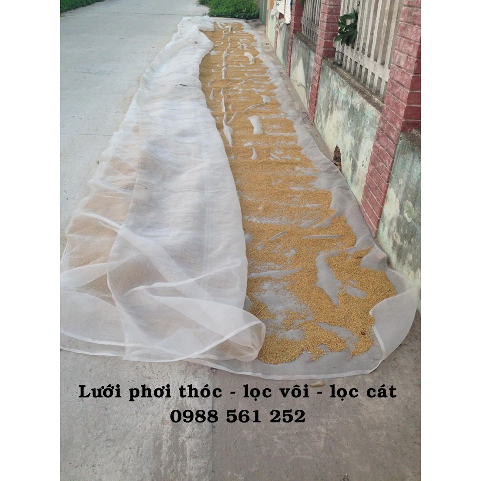 Lưới phơi thóc 2m * 6m ; 3m x 4m