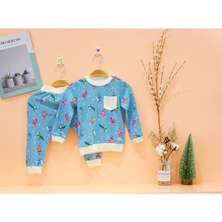 Bộ kaizoo Thun Cotton Len  Cài Vai Hình Noel Con Chim Xanh