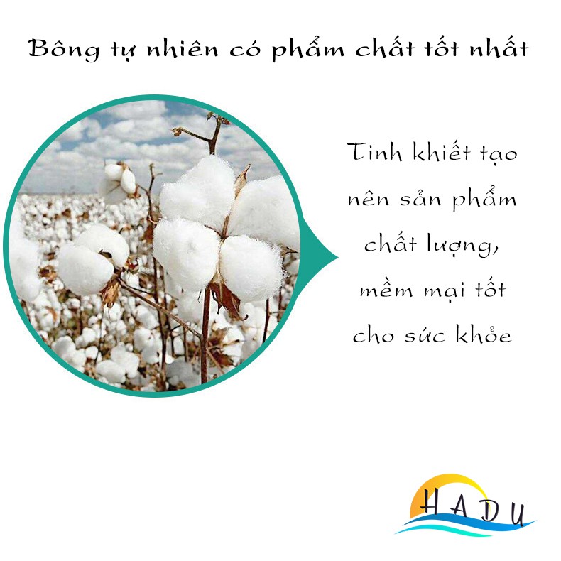 [FLASH SALE 3 NGÀY] Bông tăm ngoáy tai HADU tay cầm gỗ bông tự nhiên tinh khiết an toàn sức khỏe hộp 500 chiếc