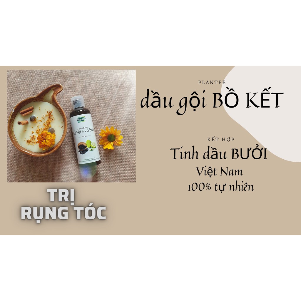 Dầu gội bồ kết & vỏ bưởi cô đặc 💖 FREESHIP từ 250k 💖 Giảm 10k khi nhập [DAUGOI10]  Dầu gội trị rụng tóc & trị gàu