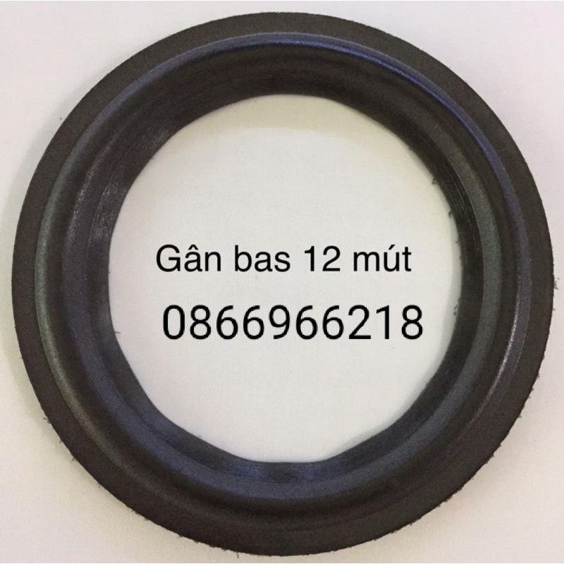 Gân loa bass 12 mút.
