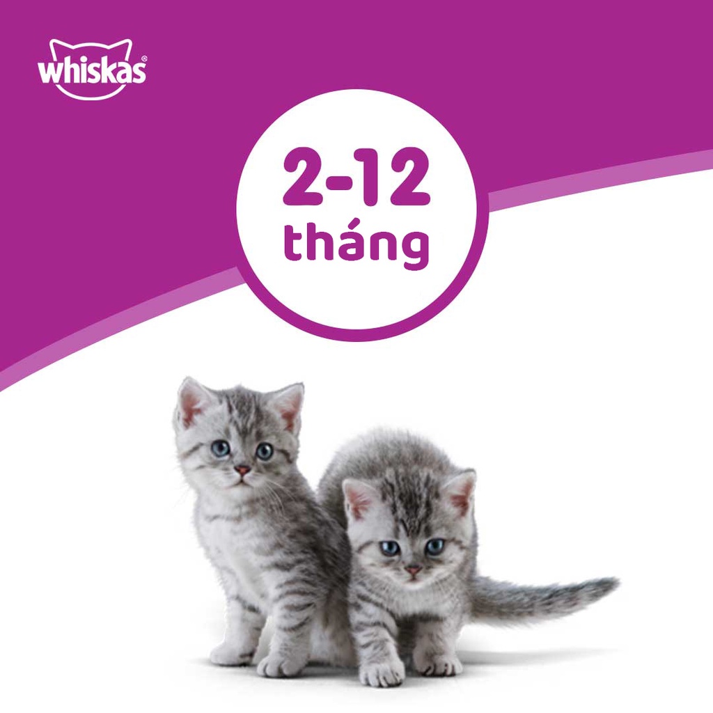 Thức ăn mèo con Whiskas 450g