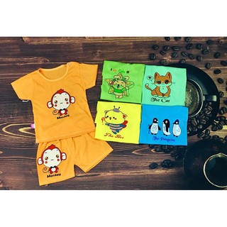 Set 5 bộ cộc tay size đại (16-22 kg)
