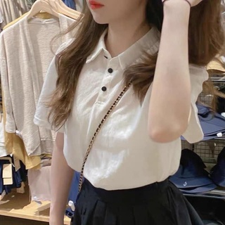 Áo phông cổ đức viền bèo, chất cotton mát mẻ, dáng basic
