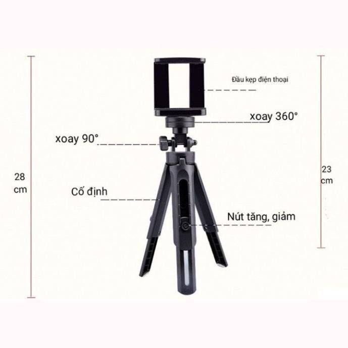 Đế chụp hình Cao cấp Tripod Support MT01 Mini