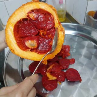 Son gấc handmade_son sạch andy