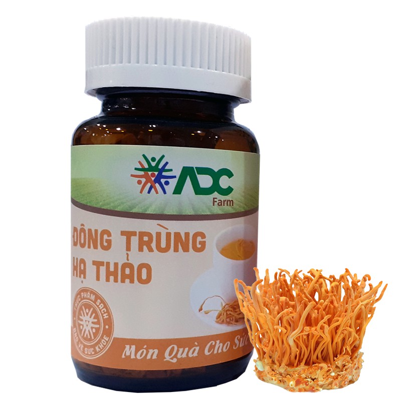 ĐÔNG TRÙNG HẠ THẢO ĐÓNG HỘP CỦA ADC