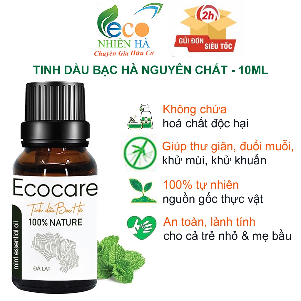 Tinh dầu ECOCARE 10ml, bạc hà nguyên chất, tinh dầu thơm phòng giúp giảm căng thẳng