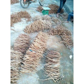Sâm cau rừng 1kg