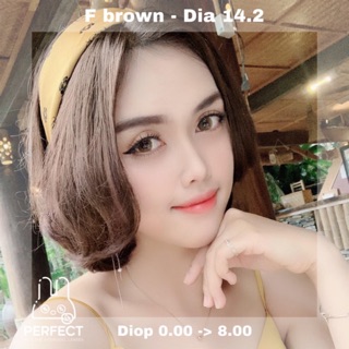 Link 1 (Giá 1 Chiếc) 14.2 (0.00 -> 8.00) F Brown Kính Áp Tròng