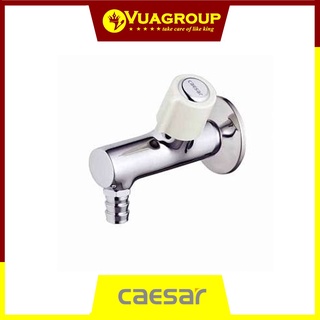 Vòi cấp nước gắn tường Caesar WP075C