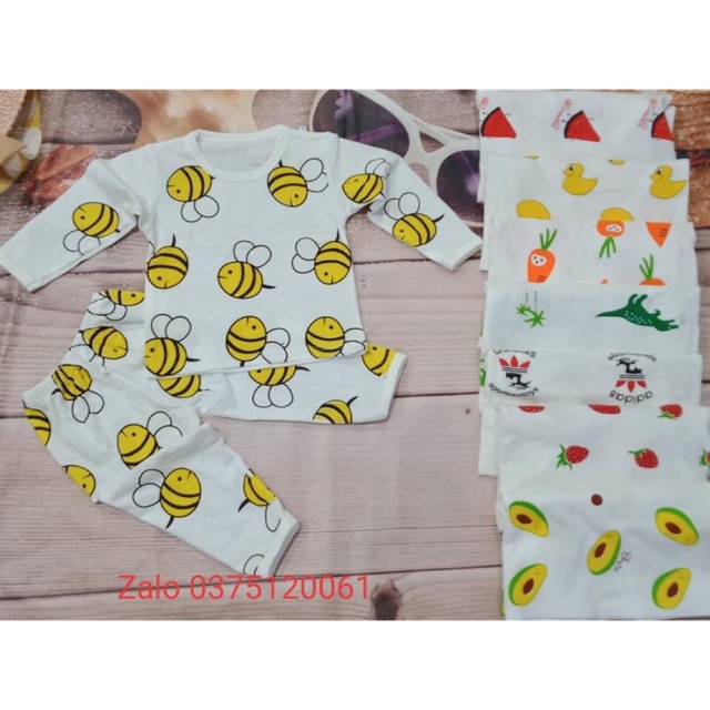 Combo 3 bộ thu đông con ong