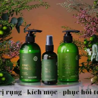(FREESHIP) Dầu Gội Bưởi Kích Thích Mọc Tóc