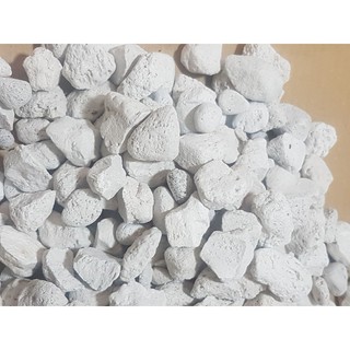 [sỉ] Đá nhẹ pumice Indonesia 0.5 kg