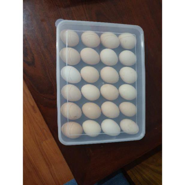[KHO SỈ] Hộp đựng 24 quả trứng - Song Long